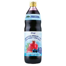 Dana sirup crni ribiz 1 L